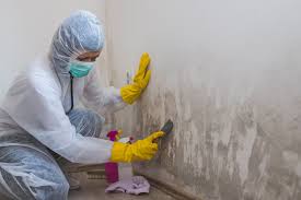 Best Residential Mold Inspection & Testing in USA